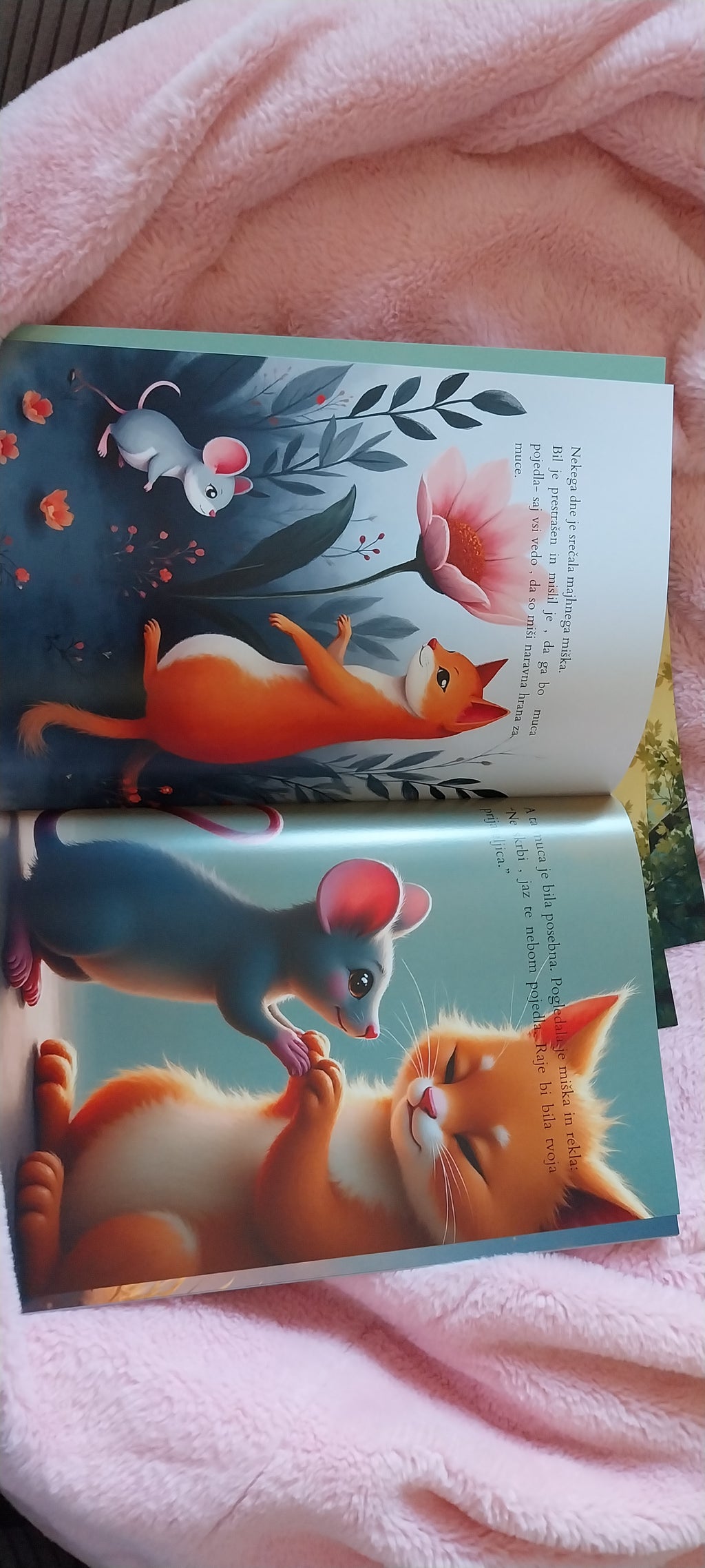 Kitten and Mouse - An Unusual Friendship